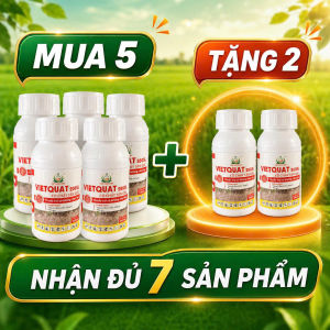 Vietquat 200SL 240ml - mua 5 tặng 2- Diệt trừ cỏ Diquat Dibromide 200g/L