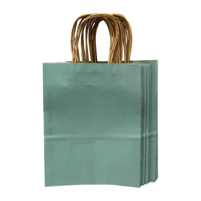 CGS Kraft Paper Bag (Avocado Green) (21x27x11CM) (12PCS)