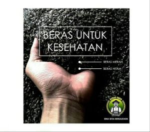 Beras Merah Abah Cililin 1kg murah / Beras Diet / Beras Untuk Diabetes