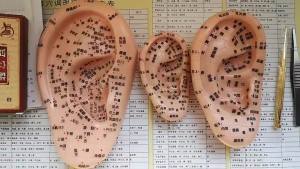 【Ship in 24H】耳贴  耳朵模型 耳部 耳穴贴 压豆耳贴 耳豆行籽仿真中穴位耳穴家用按摩 Ear patch  Ear Model Ear Auricular point sticker Pressure Bean Ear Patch Ear Bean Seed Simulation Acupuncture Point Auricular Points Home Massage