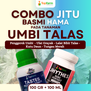 Insektisida Topfarm / Obat Jamur Tanaman Umbi Talas / Obat Busuk Buah Umbi Talas / Obat Hama Khusus Buah Umbi Talas / Obat Hama Tanaman Umbi Talas / Obat Semprot Umbi Talas / Obat Umbi Talas Terbaik