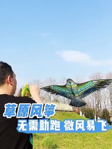 Quivlox 1.6m Giant Eagle Kite Set Easy Fly Simulation Bird Kite for Outdoor Light Wind with 100m Line Board
