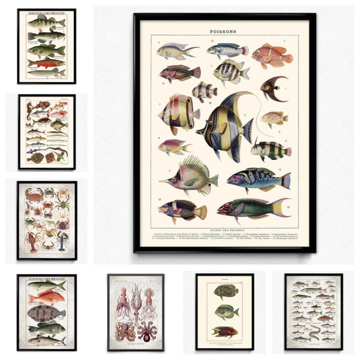 Marine Life Fish Illustration Antique Botanical Retro Home Art