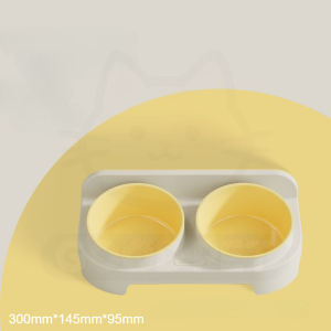Cat Dog Neck Protection Bowl 15 Degree Tilted 2in1 Double Pet Food Water Container Anti Tip Feeder