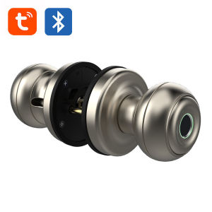 Smart Fingerprint Door Knob Biometric Door Smart Lock With APP Control For Bedroom Office Apartment Hotel Cloakroom