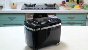 Günter & Hauer Máy làm bánh mì dung tích 3LBS Công suất 850W Máy Làm Bánh Mì Đa Năng Hoàn Toàn Tự Động BM800