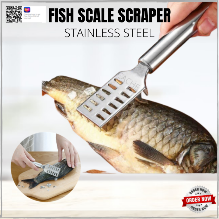 Manual FISH SCALE REMOVER SCRAPER STAINLESS STEEL at Rs 38 in