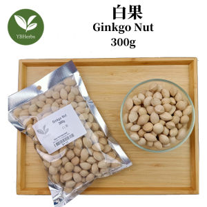 白果 300g Ginkgo Nut 泰兴白果 Bai Guo Nuts Dessert