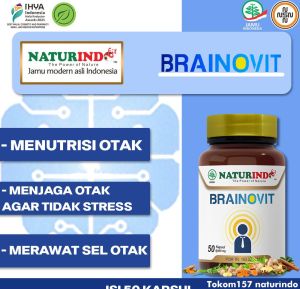 BRAINOVIT EKSTRAK PEGAGAN MEMBANTU DAYA INGAT FOKUS BELAJAR NUTRISI OTAK ANAK DEWASA LANSIA