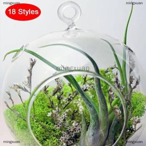 [COD] mingxuan Hanging Transparent Ball Flower Planter Vase Terrarium Landscape Container