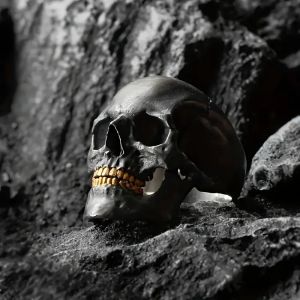 Vintage Punk Stainless Steel Skull Rings For Men Gothic Punk Horror Skull Rings Hip Hop Men Motorcycle Rock Biker Jewelry Gifts h260529