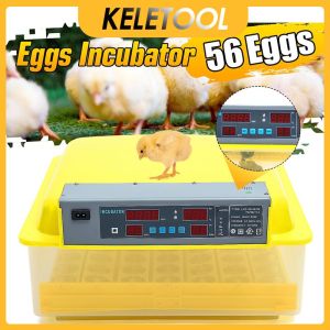 56 Eggs Farm Hatchery Incubator Brooder Machine Hatchers Chicken Automatic Eggs Incubator Bird Quail Brooder egg hatcher incubator penetas telur ayam automatic malaysia goose penetasan telur ayam