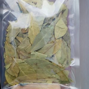 Lá nguyệt quế (Bay leaf)