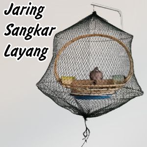 JARING SANGKAR LAYANG