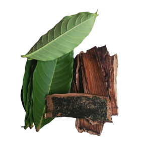 Crafty Banaba Fresh  leaves 100g per pack