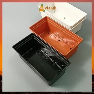 Chậu nhựa mini dài hình chữ nhật Vỉa Hè Garden trồng sen đá tiểu cảnh chậu trồng xương rồng bonsai