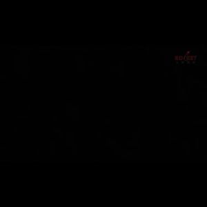 LZD  Applicable to Sirui TYC10 Quick Release Plate   Tripod Small Tripod Head Board Aluminum Alloy Mirrorless Camera Digital Camera Small Quick Shoe