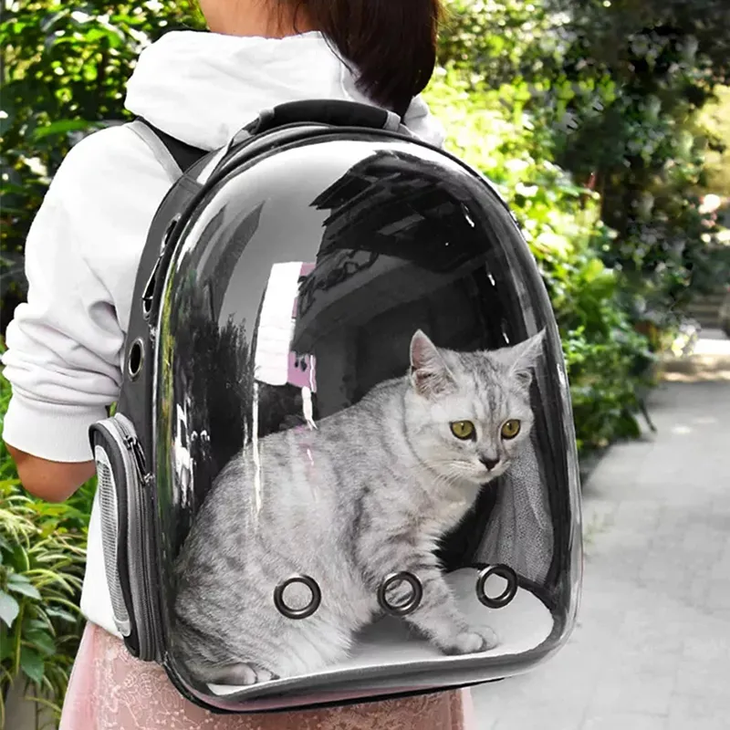 Small Pet Cat Carrier Bag Cat Capsule Backpack Puppy Outdoor Travel Backpack Transparent Space Carrying Cage Lazada PH