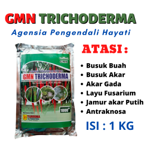 obat layu cabai GMN Trichoderma atasi layu fusarium pupuk layu cabe