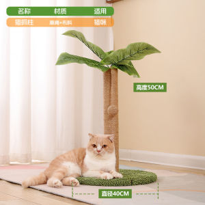 Teekland Cat Scratching Post with Hanging Ball Tall Cute Cat Toys for Indoor Cats with Sisal Rope Palm Decor Cat Tree Tower for Kitten