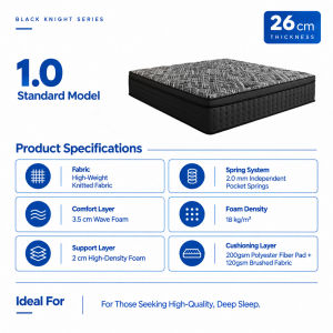 COSOVA 12/10.2 Inch Ergonomics Strong Support Independent Spring Memory Foam Mattress