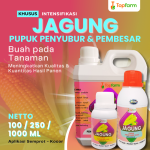 Pupuk TopFarm / Pupuk Jagung Terbaik / Pupuk Pembesar Buah Jagung / Pupuk Jagung Masa Pertumbuhan / Pupuk Pemberat Buah Jagung / Pupuk Cair Pembuat Buah Jagung