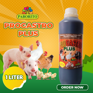 ProGastro Plus | Poultry & Swine Probiotics | Layers Broilers & Other Farm Animals | 1L