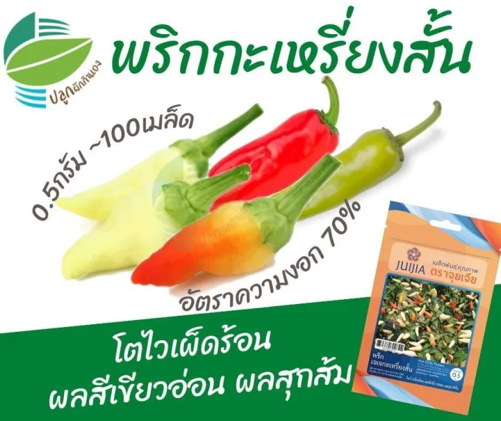 10 อันดับ เมล็ดพันธุ์พริกน่าปลูก 2026: เผ็ดร้อน สวยงาม ปลูกง่าย ได้ผลผลิตเต็มสวน!