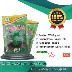 Biji Bibit Benih Sawi Sendok Pakcoy Flamingo Hibrida F1 Netto 50 Gram