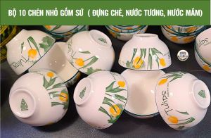BỘ 10 CHÉN NHỎ GỐM SỨ HỌA TIẾT HOA TULIPS (Đựng chè nước tương nước mắm )