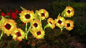 KOOPER Solar Lights Outdoor Garden Decor - Upgraded 3 Pack Solar Garden Lights with 9 Sunflower Lights Waterproof Solar Outdoor Lights Auto ON/Off Solar Decorative Lights for Garden Patio Yard\\n\\n Discover the Benefits of KOOPER Solar Lights\\n\\n What Makes KOOPER Solar Lights Stand Out\\n\\nKOOPER Solar Lights have been specifically designed to stand out among other outdoor decorative lights. Each solar garden light features three bigger sunflower lights with petals, leaves, and buds that are more delicate and realistic than other sunflower decor. This attention to detail ensures that your garden will be brought to life with vibrant, warm, and natural-looking solar lights.\\n\\n How to Install KOOPER Solar Lights for Your Garden\\n\\nInstalling KOOPER Solar Lights is a breeze. Simply place them in direct sunlight during the day, and they will automatically turn on at night. These lights are perfect for illuminating your garden, patio, or yard, providing a beautiful and eco-friendly alternative to traditional outdoor lighting solutions.\\n\\n The Best Places to Use KOOPER Solar Lights\\n\\nKOOPER Solar Lights are versatile and can be used in various settings around your home. Some of the best places to use these lights include:\\n\\n- Garden paths\\n- Patio areas\\n- Yard borders\\n- Walkways\\n- Outdoor seating areas\\n\\n Brighter & Longer Working Time: How KOOPER Solar Lights Outshine Others\\n\\n Comparing KOOPER Solar Lights to Other Outdoor Decorative Lights\\n\\nKOOPER Solar Lights outshine other outdoor decorative lights in several ways. Firstly, they feature 36 LED string lights, making them brighter than other solar lights. Additionally, they have a built-in high-quality rechargeable battery (1.2V/600mAh), which allows them to light up for up to 14 hours after a full charge. This extended working time means you can enjoy the beauty of your garden or patio all night long.\\n\\n The Science Behind KOOPER Solar Lights' Long Battery Life\\n\\nThe secret behind KOOPER Solar Lights' impressive battery life lies in their upgraded solar panels. These panels are larger in size and have a higher conversion rate compared to other solar flower lights. This means that more energy is captured from the sun, resulting in a longer-lasting charge and extended working time.\\n\\n Water-Resistant & Tough & Reliable: Why KOOPER Solar Lights Are Built to Last\\n\\n Understanding KOOPER Solar Lights' Waterproof Design\\n\\nKOOPER Solar Lights are designed to withstand the elements, making them perfect for outdoor use. Their waterproof design ensures that they can handle rain, snow, and other weather conditions without any damage. This means you can enjoy the beauty of these lights year-round, no matter what the weather may bring.\\n\\n The Durability of KOOPER Solar Lights in Extreme Weather Conditions\\n\\nIn addition to being waterproof, KOOPER Solar Lights are built to last. They can withstand extreme weather conditions, including strong winds, heavy rain, and even snow. This durability ensures that your investment in these lights will provide years of enjoyment and value.\\n\\n Conclusion\\n\\nKOOPER Solar Lights are the perfect choice for anyone looking to add a touch of natural beauty to their outdoor space. With their brighter and longer working time, water-resistant design, and durability in extreme weather conditions, these lights are built to last and provide years of enjoyment. Order your KOOPER Solar Lights today and start enjoying the beauty of your garden or patio all night long!\"