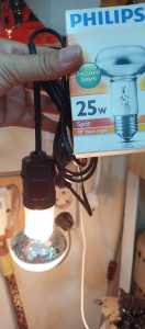 LAMPU PENGHANGAT PHILIPS SPOT 25 WATT + FITTING GANTUNG BROCO + KABEL 180 CM SIAP PAKAI