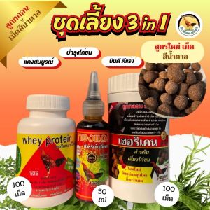 ชุดเลี้ยง 3 in 1 เฮอริเคนไก่ชน ขนาดจัมโบ้