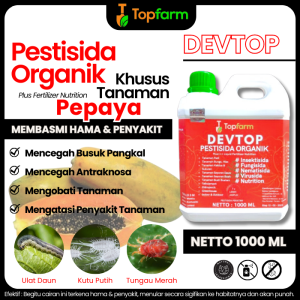 Obat Hama Pepaya California / Obat Semprot Hama Daun Pepaya / Obat Hama Untuk Tanaman Pepaya / Obat Hama Tanaman Buah Pepaya / Obat Hama Pepaya / Obat Hama Pepaya Pucuk Menguning /