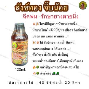 ยาทาบำรุงหน้ายาง (สังข์ทอง 120CC/ เล็ก) รักษาหน้ายางพารา ขยายท่อน้ำยาง น้ำยางไหลได้นานและมาก เปอร์เซ็นต์น้ำยางสูง