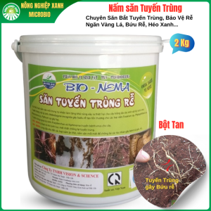 NẤM SĂN TUYẾN TRÙNG RỄ Ngừa Bứu Rễ Vàng Lá Héo Xanh BIO.NEMA 2 KG