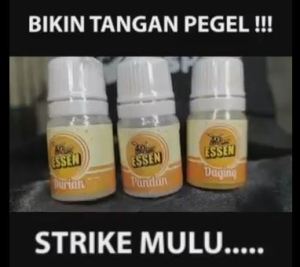 Essen Umpan Mancing Ikan Bawal Lele Mas Patin Beeyang Essen Premium Varian Vanilla 5ml