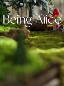 Automatic Hamster Dispenser Rabbit Small Animal Feeding Food Feeder Bowl Golden Bear Water Feeder Small Accessories