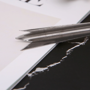 Stainless Steel Pineapple Peeler Remover Slicer Eye