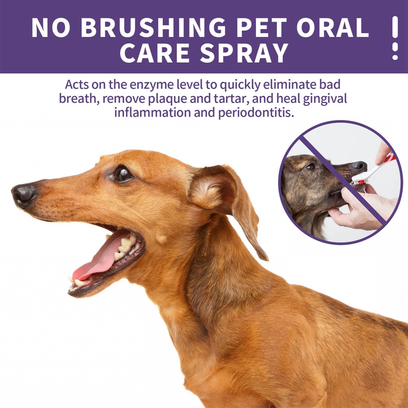 ที่บ้วนปาก Eounthbard สเปรย์ทำความสะอาดฟันสำหรับสุนัขและแมวปากเหม็นแผ่นโลหะ
