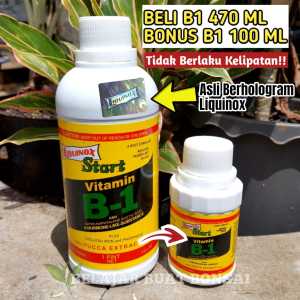 Pupuk Vitamin B1 Liquinox Start 470ml Beli 1 Gratis B1 100ml