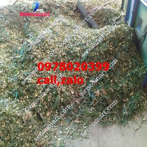 Máy băm cỏ voi mặt trước bàng inox