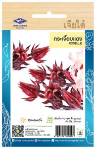 เมล็ดพันธุ์ กระเจี๊ยบแดง roselle ผลดก ดูแลน้อย ต้นแข็งแรง ปลูกง่าย น้ำหนักดี ผลผลิตสูง ทนโรค ผักสวนครัว