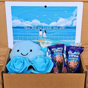 ✨Blue Cloud Gift Set Plush Clouds Simple Gift For Her or Him w/ Free Message