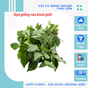 Hạt Giống Rau Kinh Giới - Hạt Giống Thuận Điền