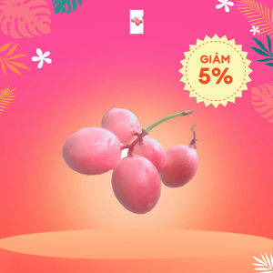 Cây siro lỡ. Mau cho trái. Trái rất đẹp.