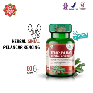 TAZAKKA Kapsul Herbal Tempuyung 60 Pil - Peningkat Kesehatan Urin & Batu Ginjal