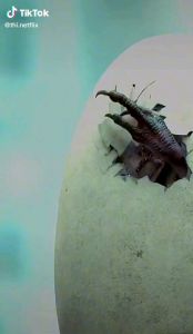 premium netflix 4k ultraHD