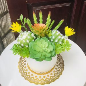 Chậu Sen Đá Giá Chậu Cây Để Bàn Cao Cấp Trang Trí Bàn Trà Kệ Tủ Văn Phòng DC-138