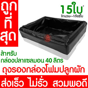 *โค้ดส่งฟรี* ถุงรองกล่องโฟม กล่องปลา ถุงดำรองกล่องโฟม ถุงรองกล่องโฟมปลูกผัก กล่องโฟมปลูกผัก ไฮโดรโปนิกส์ ผักไฮโดร ปลูกผักไฮโดร ส่งไว !